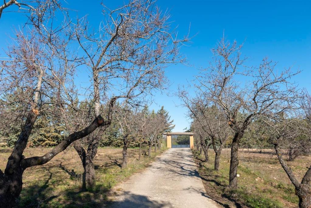 Finca El Palomar De La Vina Madrid Extérieur photo